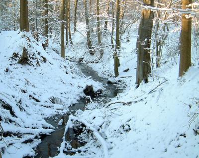 Canyon-snow.jpg