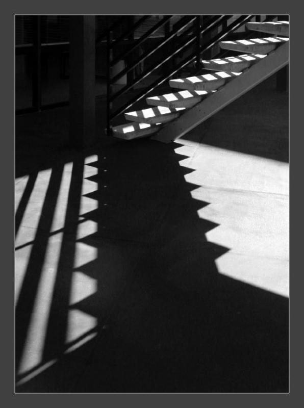 8th (tie)<br><br><b>Study in Light and Shadow</b><br>W R (Bill) Somsky