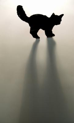Superstition(Exhibition Gallery Header Image- not for voting)