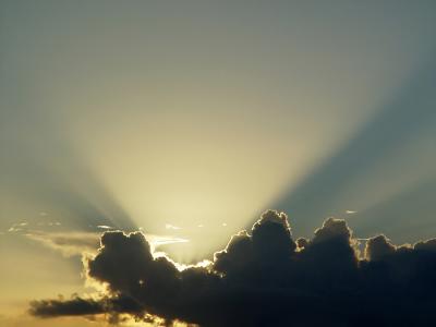   A Burst of Brilliance   by Helen Betts  