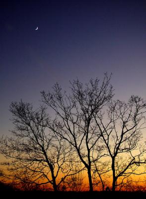 Moon & Sunset Glow by Eric Hatch