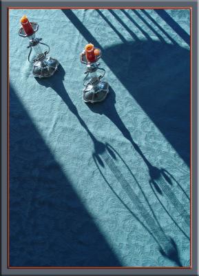 Silver Shadowsby Ann Chaikin