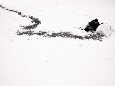 u18/stfchallenge/medium/11883729.Dsc02335bw640x480.jpg