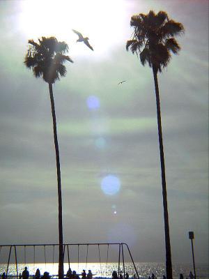 California Sunby bbzippo