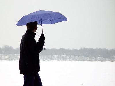 8thWinter Rainby Shutter 