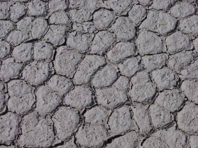 Weathered by Ty McKay*
