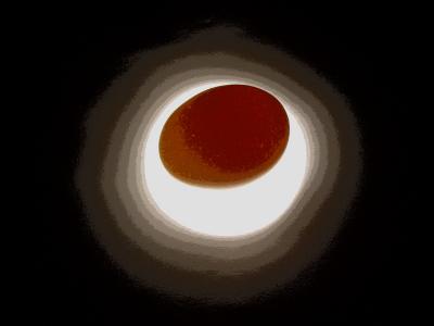 Solarized Egg