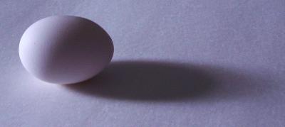 Morning Egg