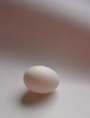 Favorite Egg by Dee