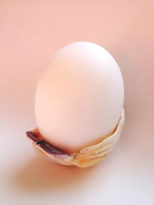 Egg Shell by Dee