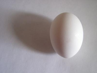 Split Face Egg by Dee Golden