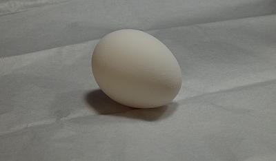 Egg on Tissue