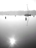 10th (tie)<br><br><B>Morning Sun</B><BR><FONT size1>by Shutter</FONT>