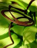 5th Place<br>Rusty Yard Art<br><font size=1>by MFC</font>