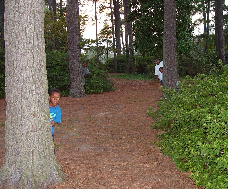 <br>Hide and Seek</br> <br>by JB707</br>