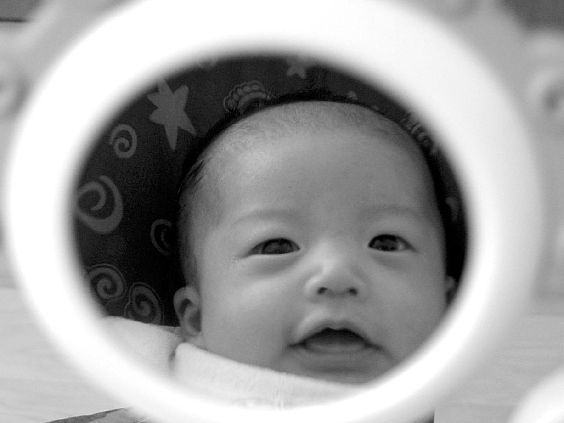 <b>Rear View Baby</b><br> <small>by <a href=http://www.howcheng.com/ target=n>Howard Cheng</a></small>
