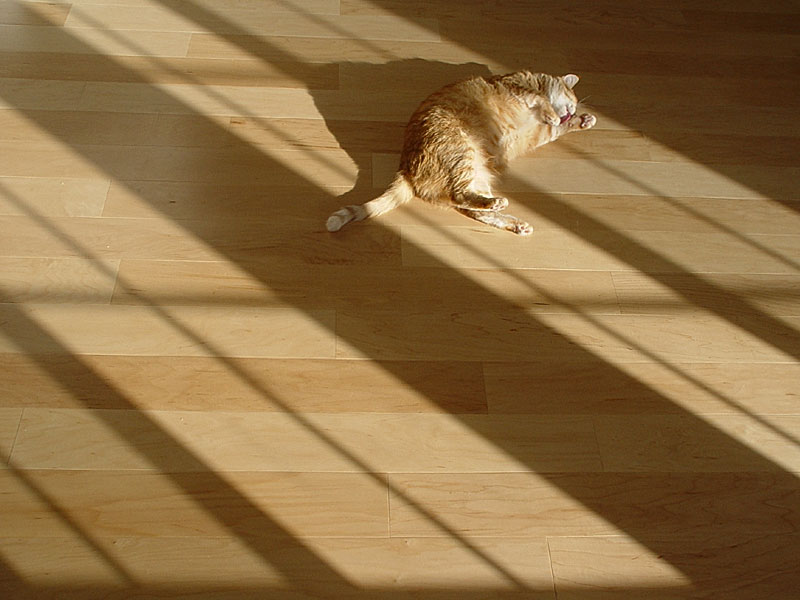 <b>Soak Up the Sun</b> <br><small>by <a href=http://www.howcheng.com/ target=n>Howard Cheng</small>
