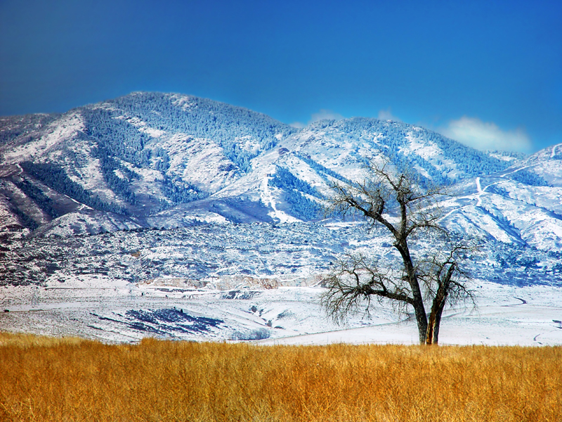 7th Place<br>Winter Hues.jpg