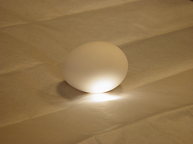 <b>Holy Egg