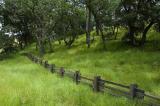 Fence at Mitchel Canyon