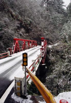 大禹嶺下雪