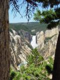 Yellowstone Falls2