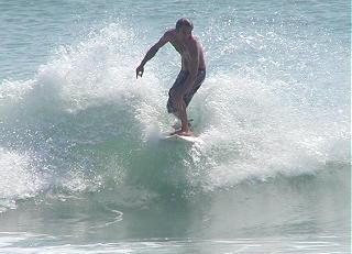 P1010036 2.JPG