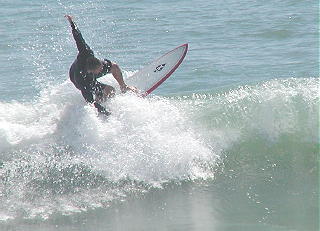 P1010086 2.JPG