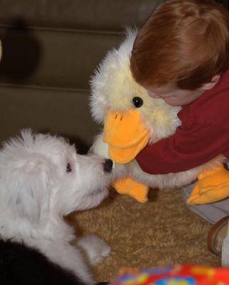 Baby Wyatt and Baby Sophie with Big Baby Duckie