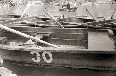 u18/taffer/medium/43153630.crop0062copy.jpg
