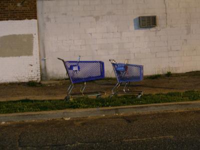 Blue Shopping Carts of the Night