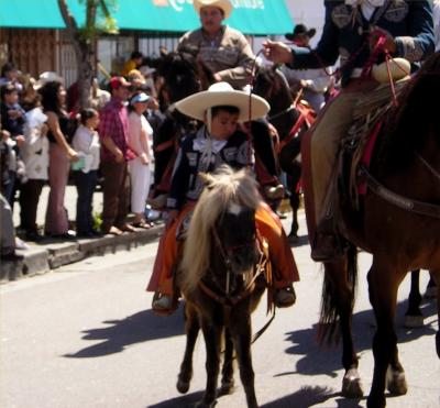 Littlest horseman