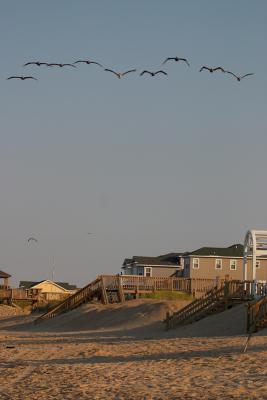 Beach homes, Nags Head, NC