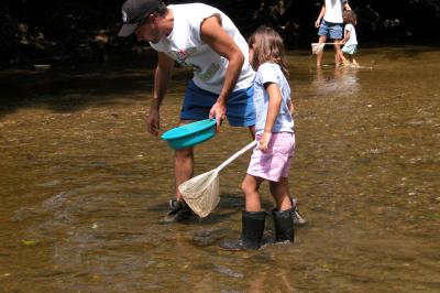 Hopewell_Paint_Creek_Aqua 2.jpg