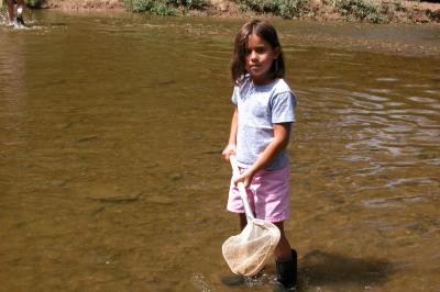 Hopewell_Paint_Creek_Aquati.jpg