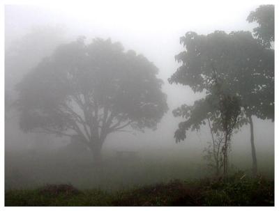 Driving through fogs in Quezon, Bukidnon