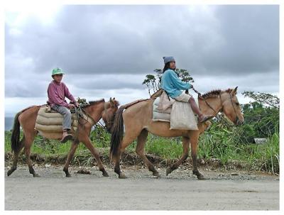 On the way home, Kitaotao, Bukidnon