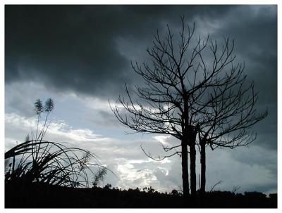 Before the rain in Damulog, Bukidnon