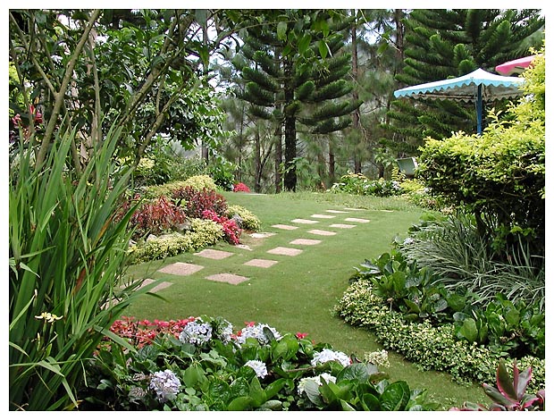 Seagull Mountain Resort, Kitaotao, Bukidnon