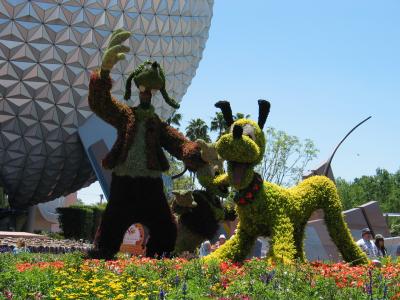 Epcot Flower and Garden Festival - Goofy and Pluto Topiary