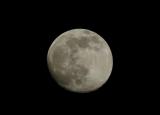 Mond