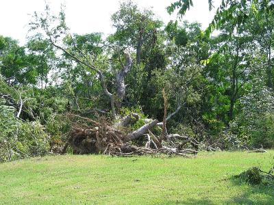 aftermath0002.jpg