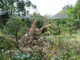 aftermath0006.jpg