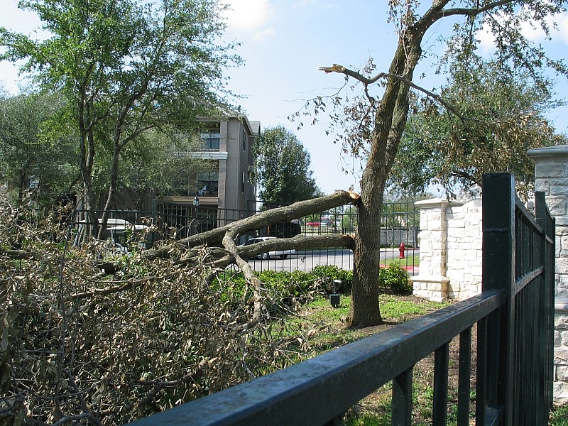 aftermath0009.jpg