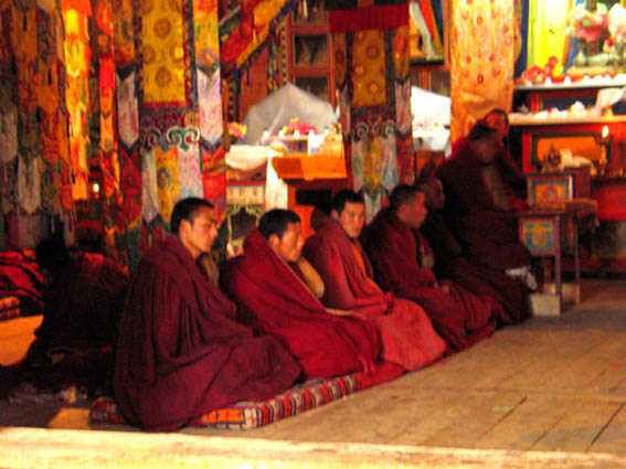 Monks praying in Langmusi