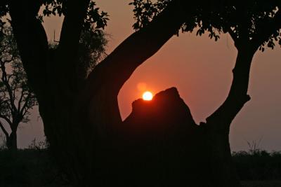 Sunset over a termite mound
