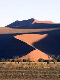 The dunes of Sossusvlei in early morning light