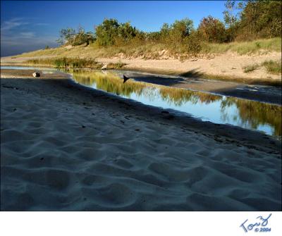 Warren Dunes Stream