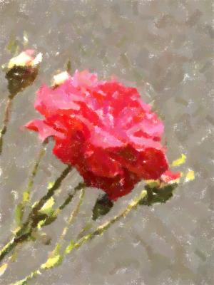 Rose_malenKleckse.jpg