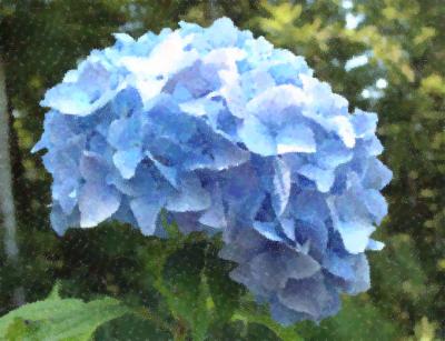 B_point_wgFarbe.jpg